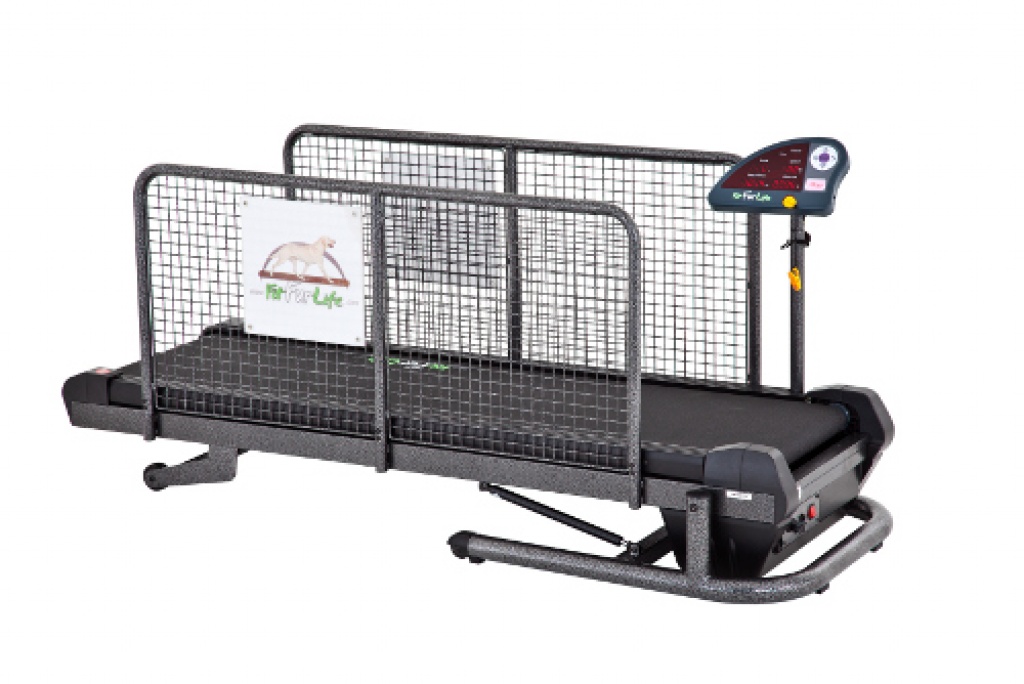 Hundelaufband Laufband für Hunde Fit Fur Life Hundezubehör