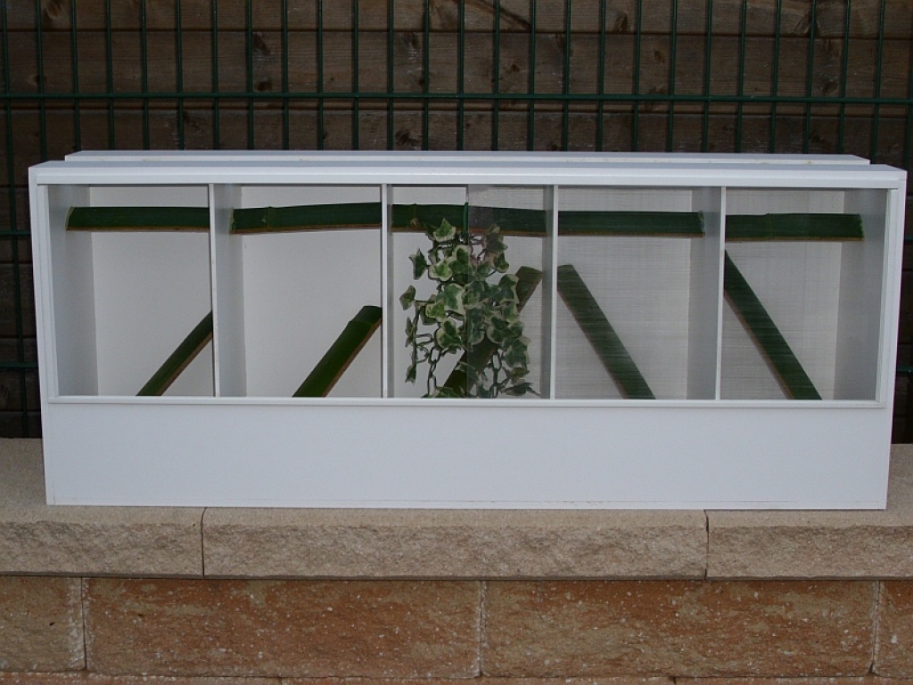 Terrarien aus forex platten terrarium