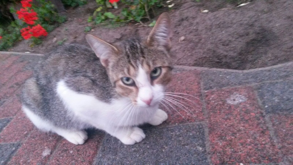 Sie sucht ihn 32469