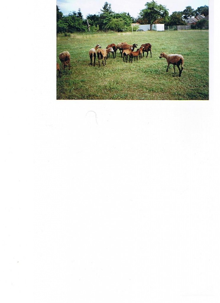 Sie sucht ihn 91284