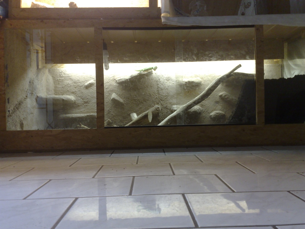 Terrarium in XXL B1, 80 H0.70 T 0, 69 Terrarien