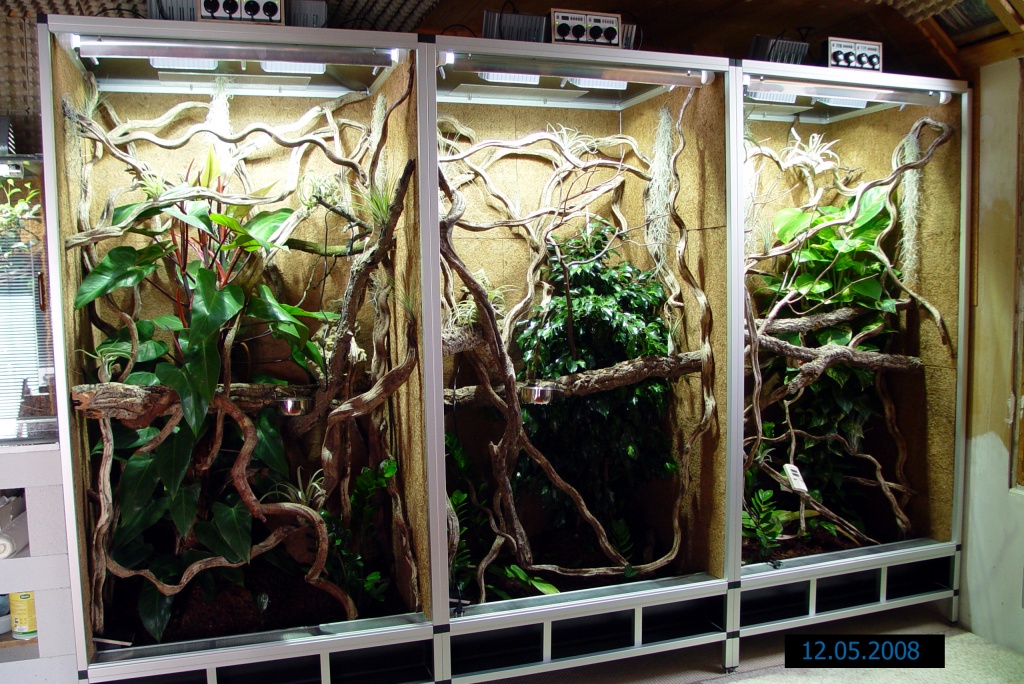 Terrarien aus forex platten terrarium