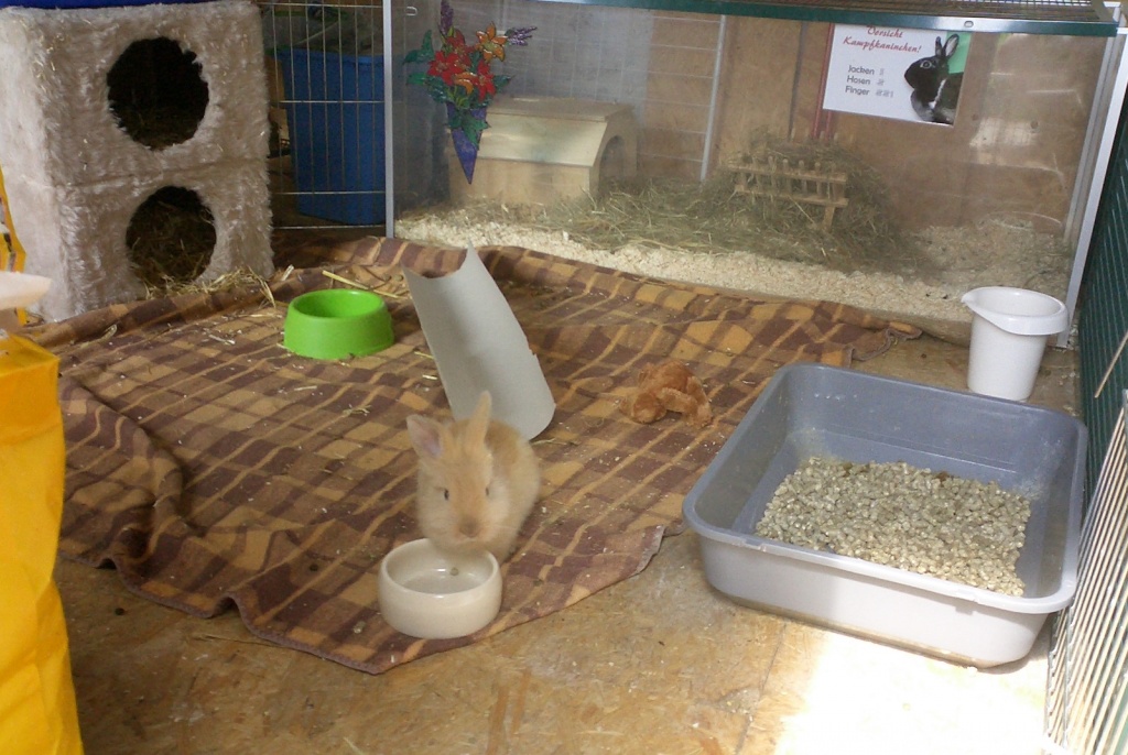sie