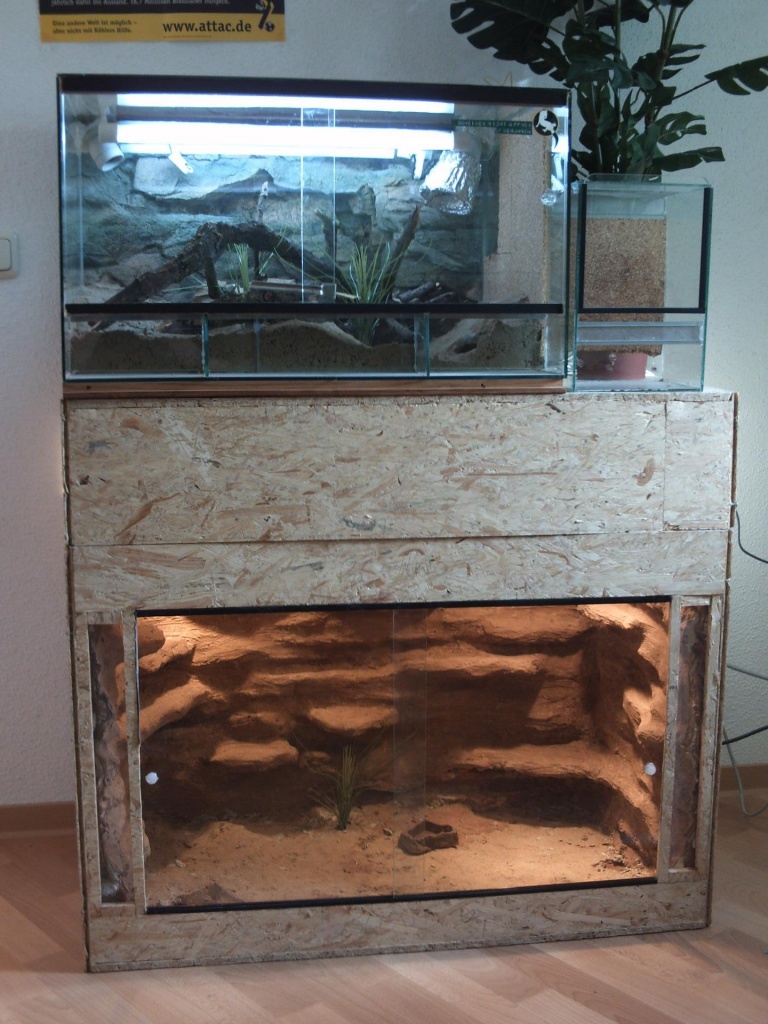Terrarien aus forex platten terrarium