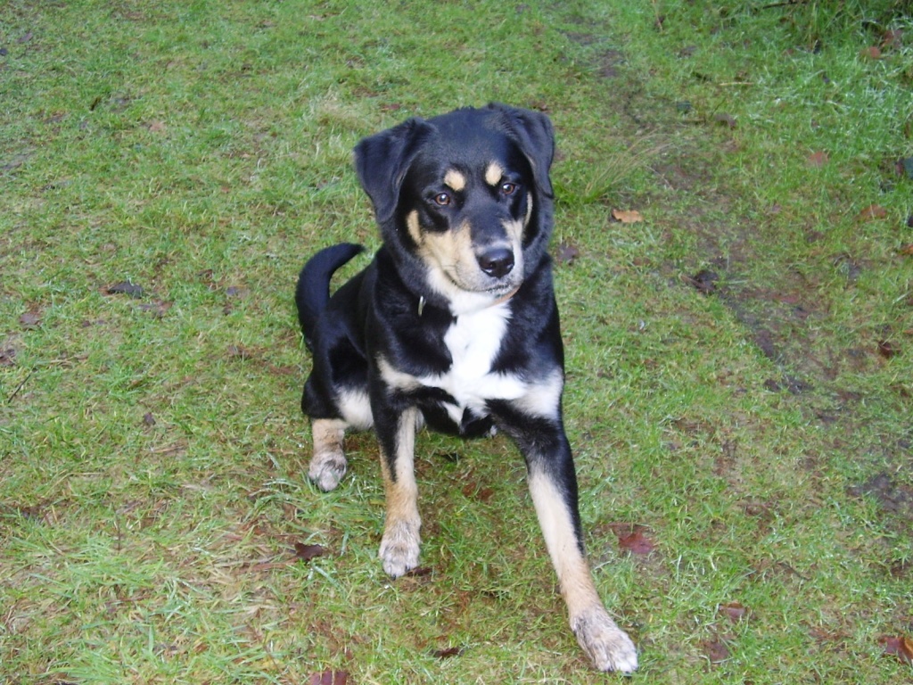 Sie sucht ihn 46325