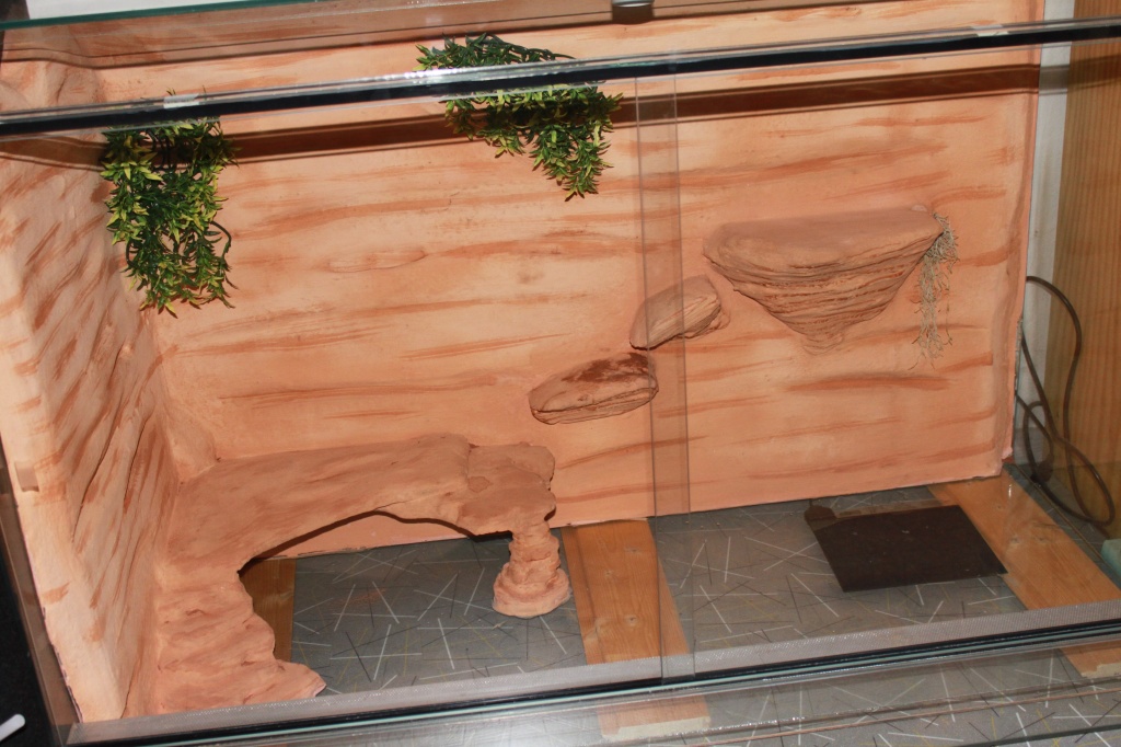 VERDANVERSE Terrarien Hintergrund PU Material - Naturgetreue 3D Rückwand Für Reptilien