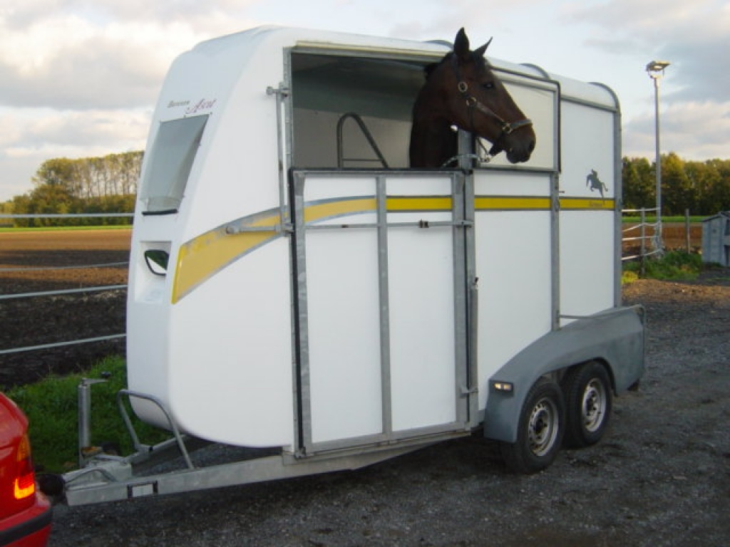Verleihe Ifor Williams Pferdeanhänger mit Frontausstieg und ...