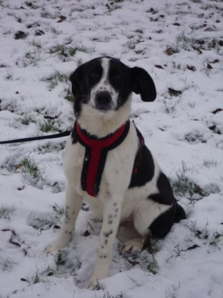 Sie sucht ihn 46325