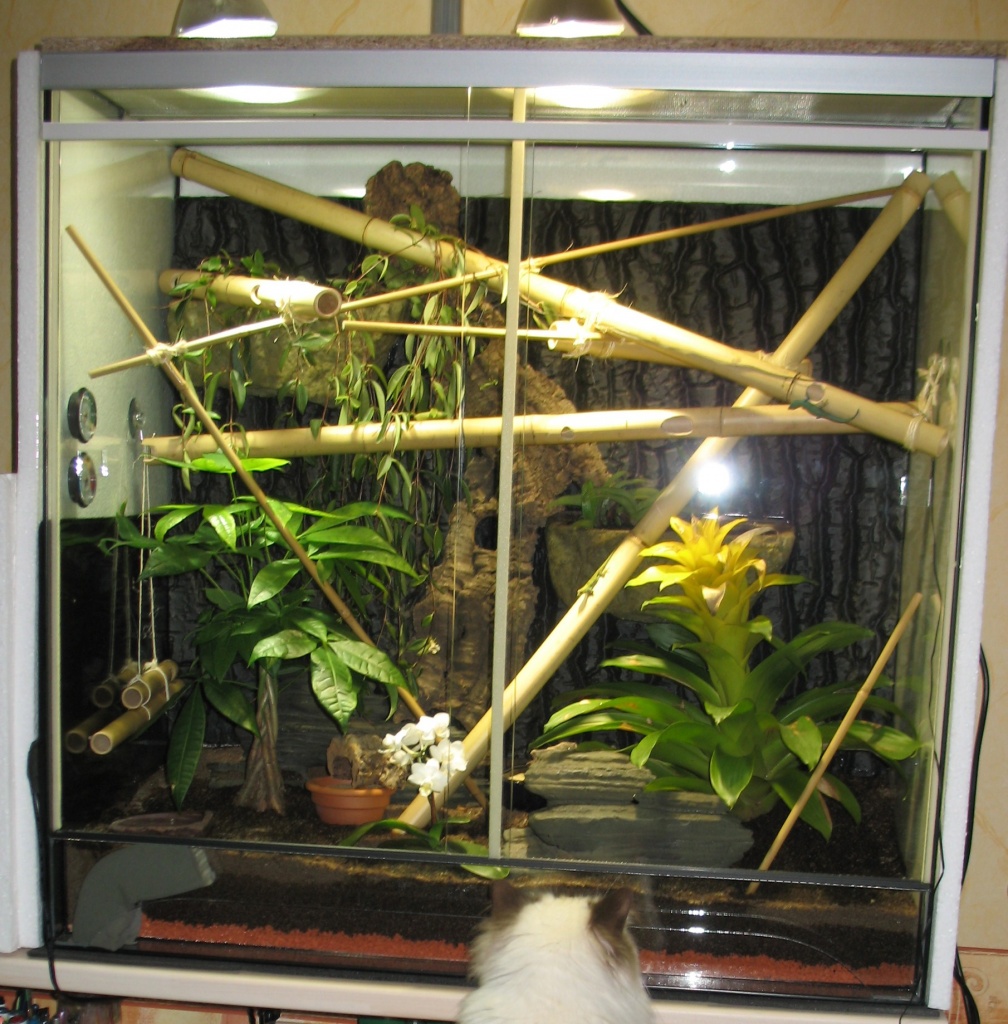 Digitales Regensystem Für Terrarien - Automatische Beregnung Mit Timer Für Reptilien