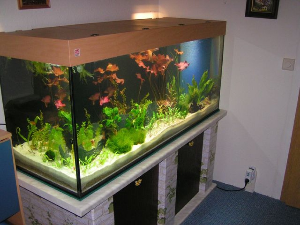 Xanorrg Meeresglas Aquarium Deko | Handgefertigte Glasornamente | Sicher Für Fische