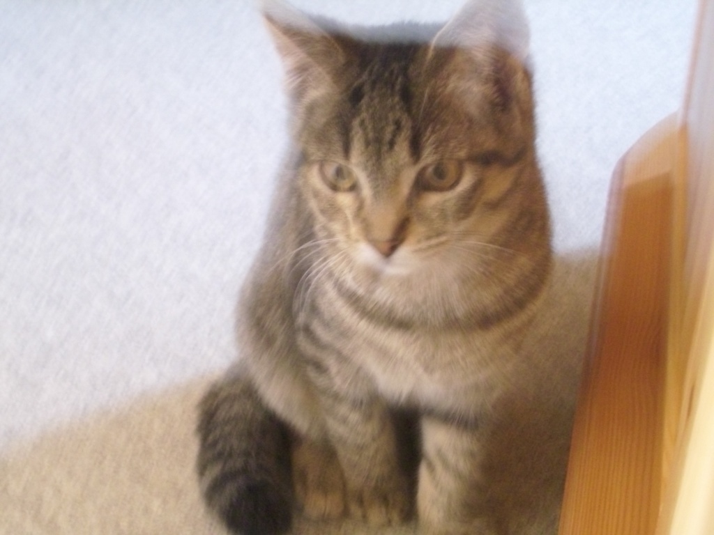 Sie sucht ihn 67433