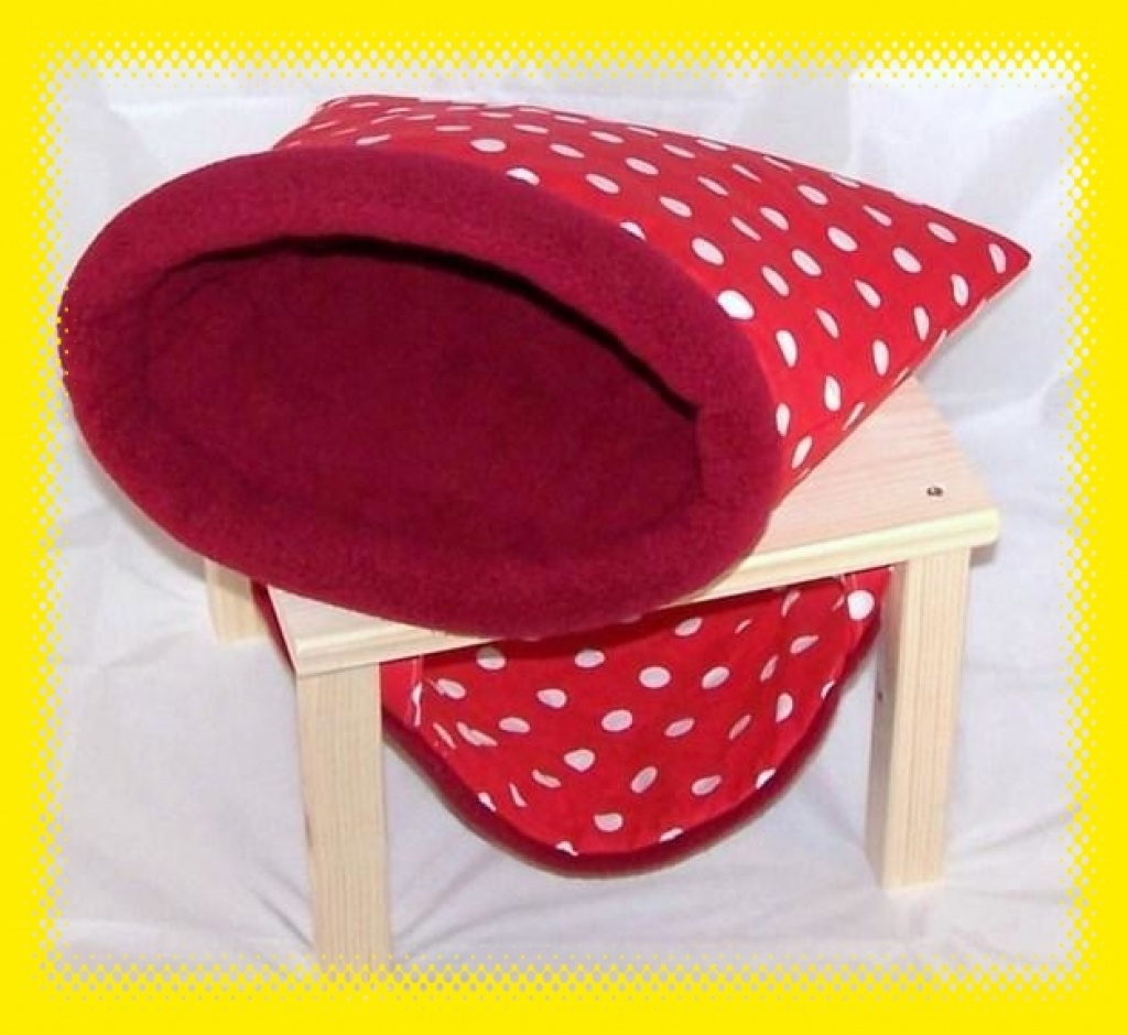 Nagetiere - Zubehör Tieranzeigen Seite 1