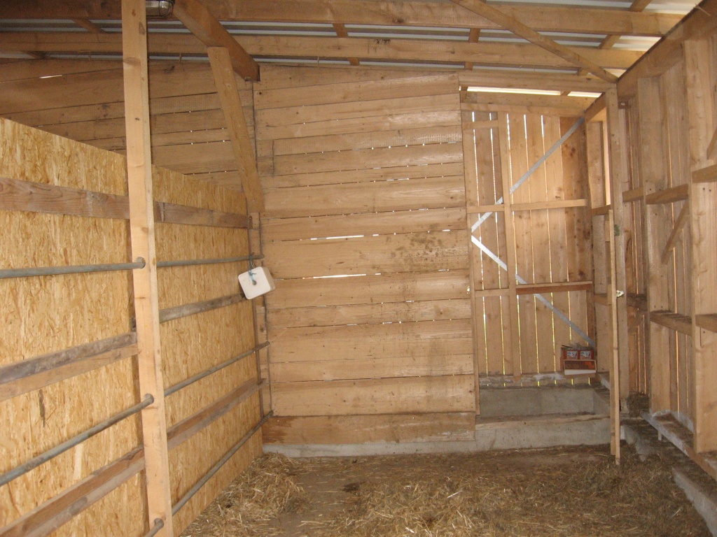 Tieranzeigen Selbstabbau Kleinanzeigen