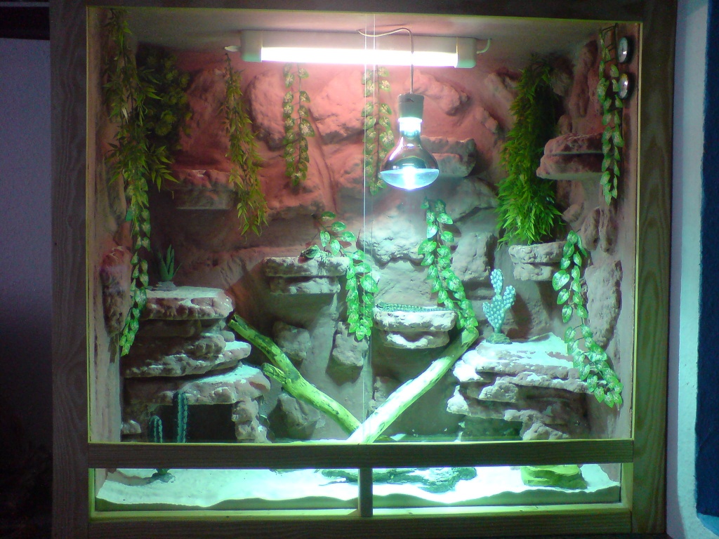 verkaufe Terrarium mit zubehör und gecko Leguan