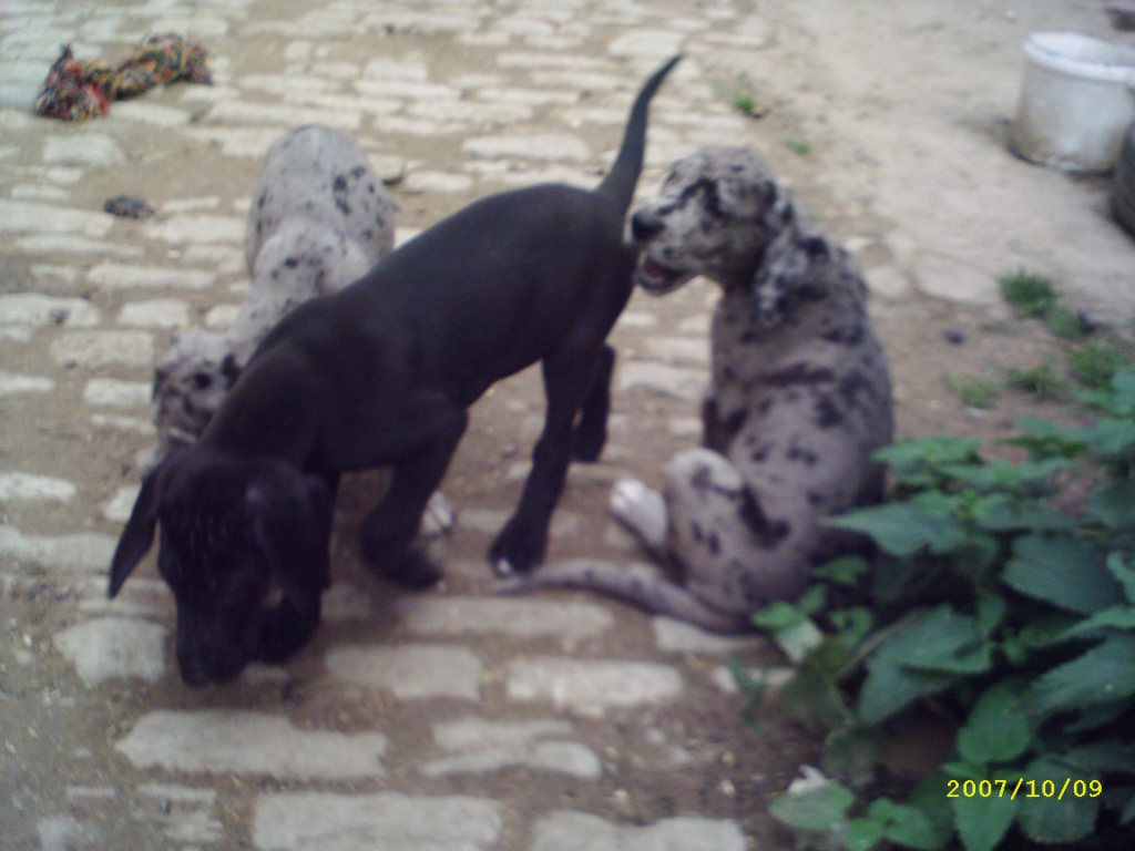 Sie sucht ihn 99974