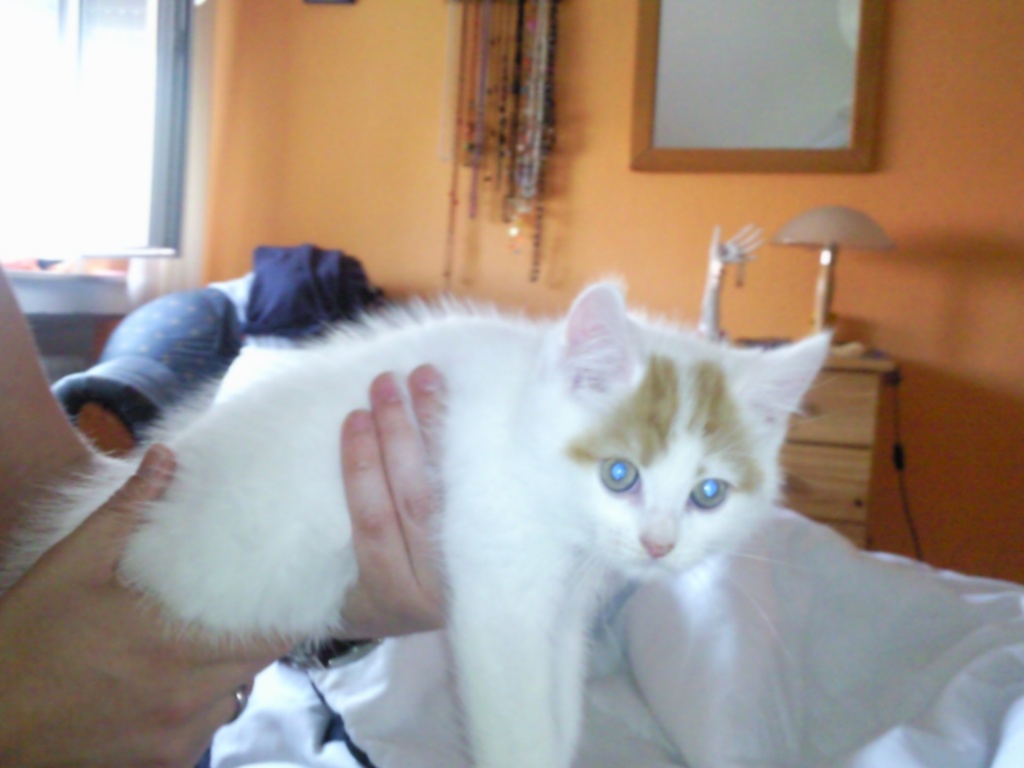 Sie sucht ihn 55765