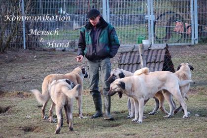 Hundeschule v. Charlys Hundefarm