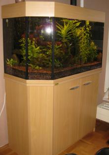 200l Aquarium mit Unterschrank