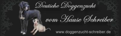 Deutsche Doggenzucht vom Hause