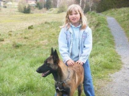 Malinois