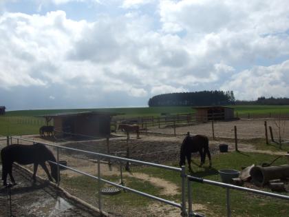 Freie Offenstallplätze Region Ulm / Heidenheim
