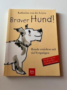 Braver Hund Hundeerziehung mit viel Vergnügen