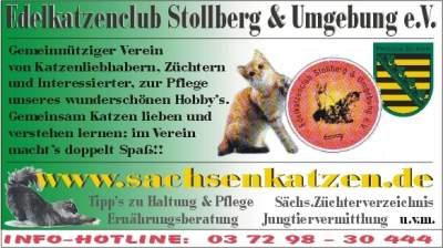 Sachsens Samtpfötchen LIVE erleben