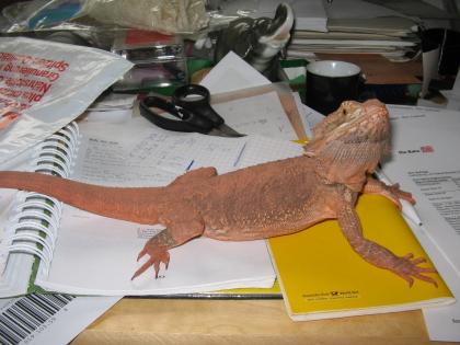 Bartagame 1. 0