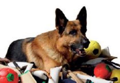 Kauartikel und Hundesport Zubehör