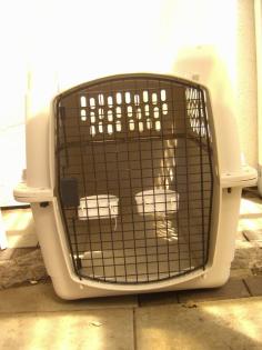 TRANSPORTBOX RIESIG