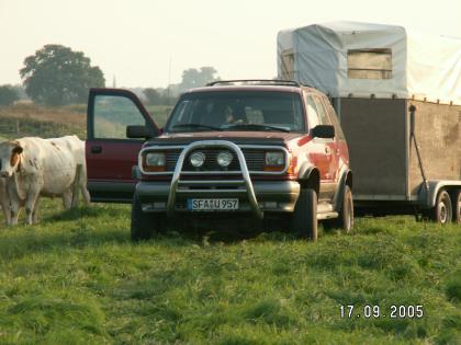 Top Zugpferd Ford-Explorer