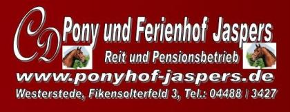 Ferien auf dem Ponyhof