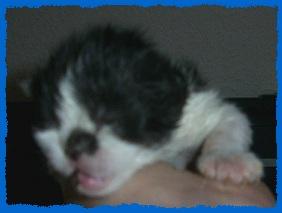Hurra unsere Babys sind da