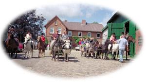 Ferienhof Wulff - Reiterferien an der Ostsee