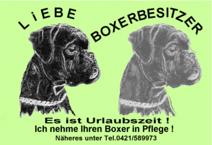 Nehme Ihren Boxer in liebevolle, Boxererfahrene Pflege
