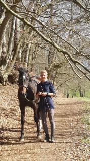 Mobiler Reitunterricht/ Bodenarbeit/ Problempferdetraining