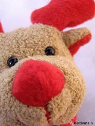 Christmas mit Petdomain. de