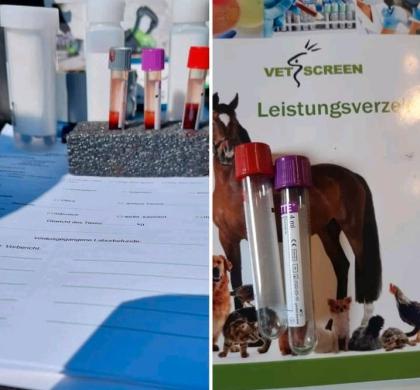 Tierosteopathie Tierphysiotherapie