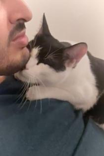 Snoopy Kater mit Charakter Charme sucht Traumzuhause