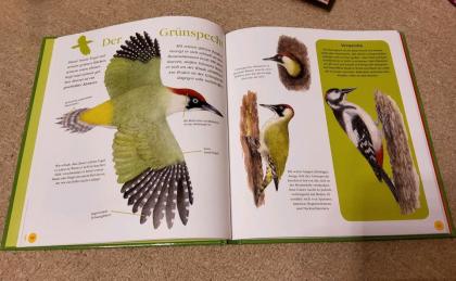 Wie neu Ab 4 Mein erstes Tierbuch von A bis Z, Tierlexikon