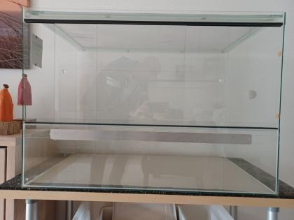 Glasterrarium kaum benutzt