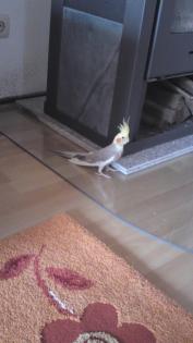 VERMISST
