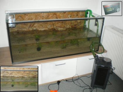 Verkaufe 300 liter Aquarium eheim professional 2 thermo filter