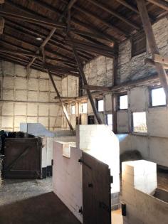 Stallplatz frei