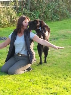 Hundeschule Axstedt -Trainingszentrum für Hund Halter in Niedersachsen