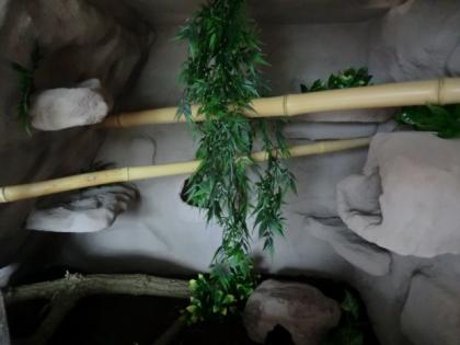 Terrarium zu verkaufen, TOP mit kompletter Rückwand für Nattern. inkl Höhlen,