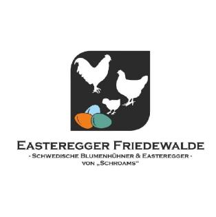 Bruteier vom Schweizerhuhn - Schweizerhühner BE