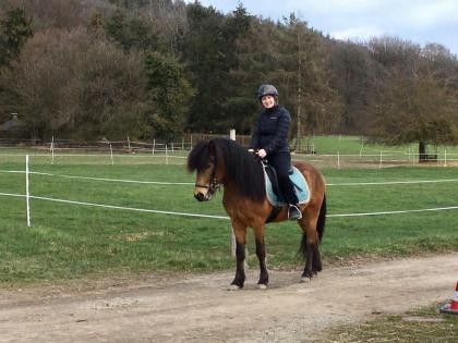 Biete Reitbeteiligung auf Islandpferd Wallach