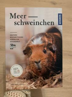Meerschweinchen Ratgeber, Tierbuch