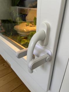 Wunderschönes Terrarium mit 2 Kornnattern 0. 0. 2. abzugeben